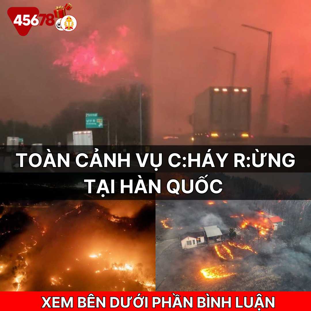 Tin tức 45678 : Toàn cảnh vụ cháy rừng tại hàn quốc